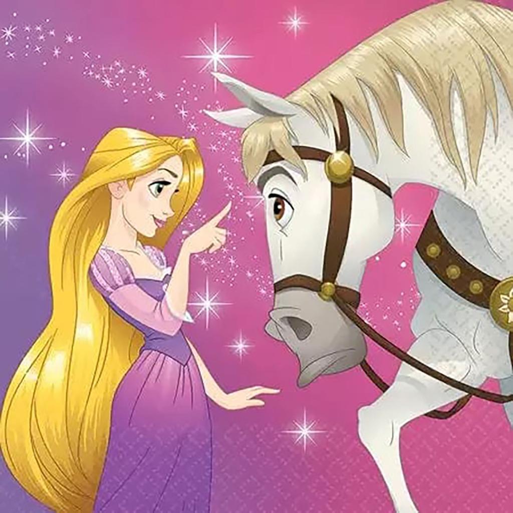 Rapunzel Tangled Party Package Birthday Supplies Napkins Plates for16 Guests New